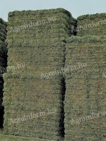 HAY AND ALFALFA BALES