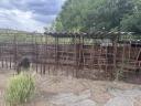 Calf rearing calf crates, calf pens