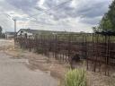 Calf rearing calf crates, calf pens