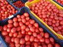 Tomatoes for sale