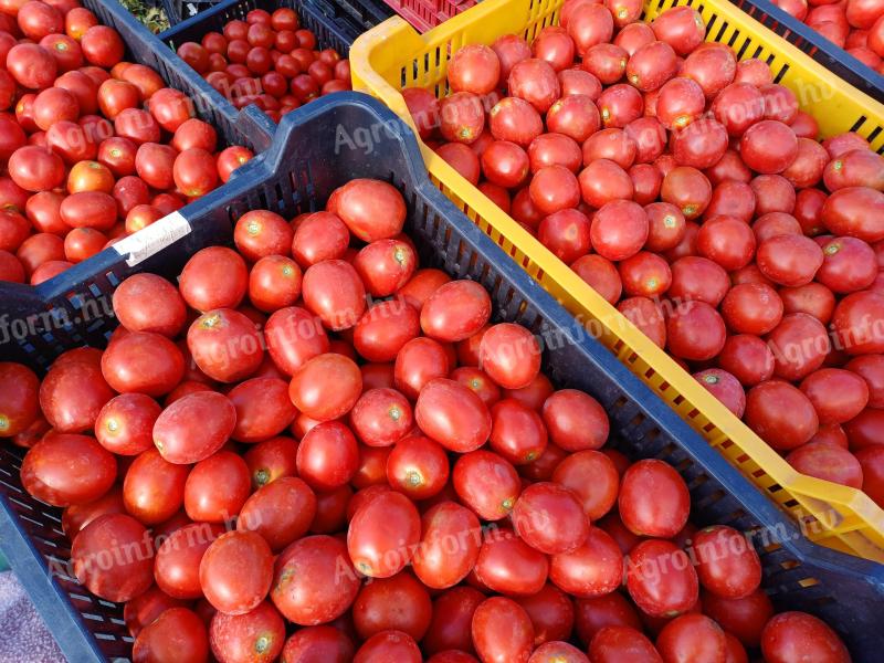 Tomaten zu verkaufen