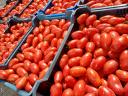 Tomatoes for sale