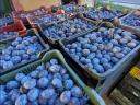 Stanley and beszterce plums for sale