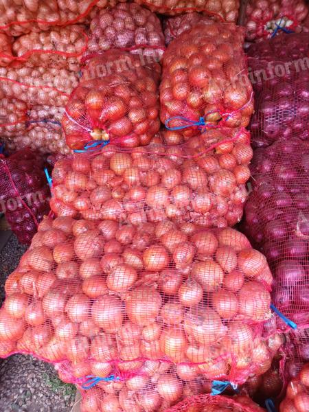 Onions for sale