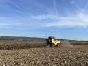 Herbstliche Lohnernte im Raum Győr