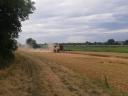 Autumn Harvesting around Győr