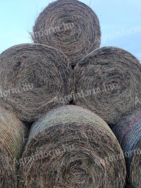 Round baled hay for sale