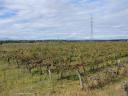 Vineyards for sale in the Sopron wine region