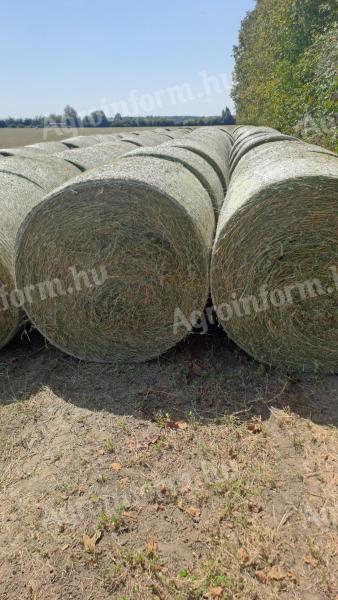 120 alfalfa bale