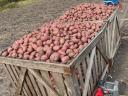 Potatoes for sale