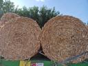 Corn stalk bales for pre-order