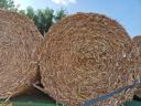 Corn stalk bales for pre-order