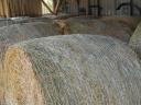 Lucerna bales for sale