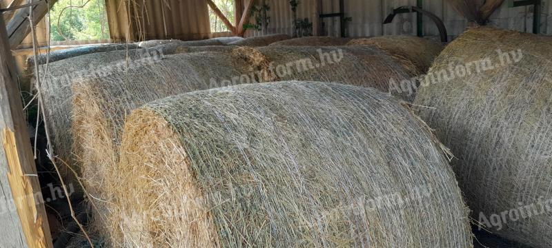 Lucerna bales for sale