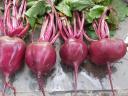 Beetroot