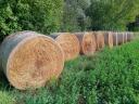 Alfalfa, lucernové balíky, lucernové seno, organická lucerna