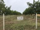 For sale 0,77 ha of walnuts near Gárdony