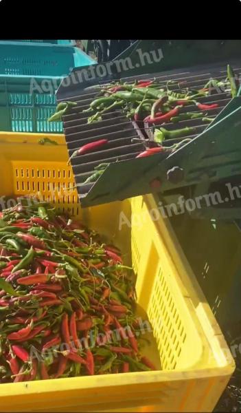 Self-propelled pepper and bean harvester, harvesting machine