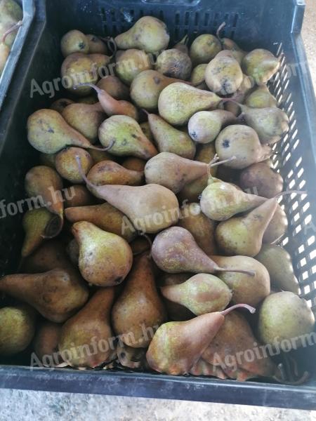 Boscow pear mash for sale