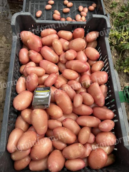 Early potato washer for sale