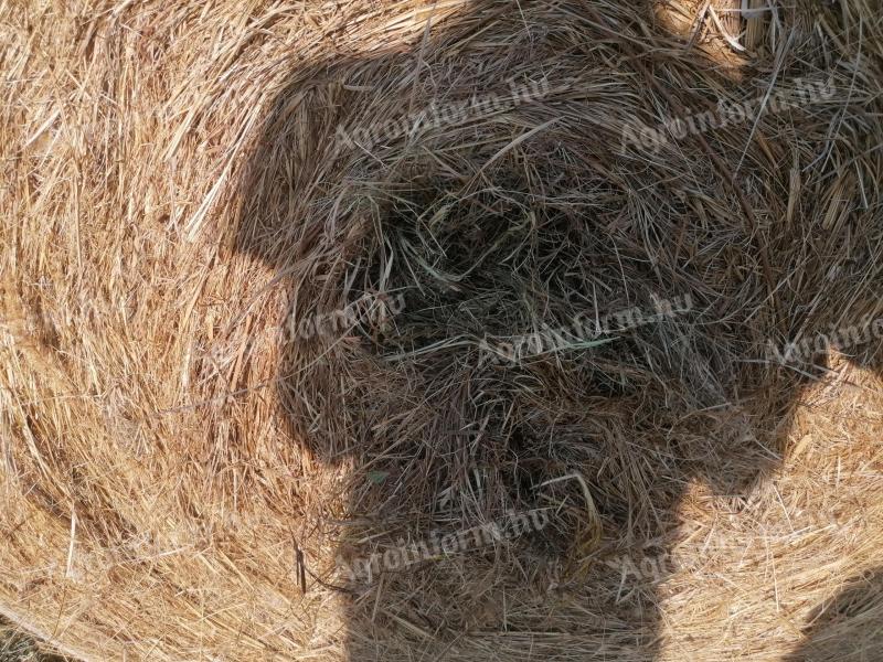 Bale of hay