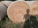 Bale of hay