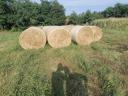 Bale of hay