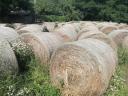 Bale of hay