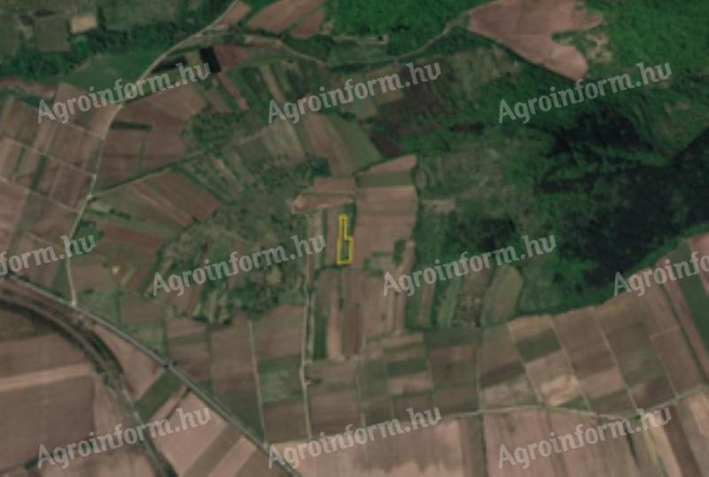 Land for sale, allotment, set-aside