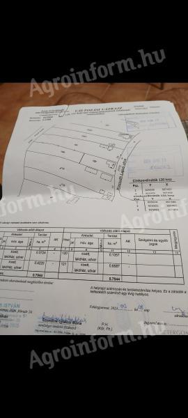 Продаје се грађевинско земљиште у Сонкаду