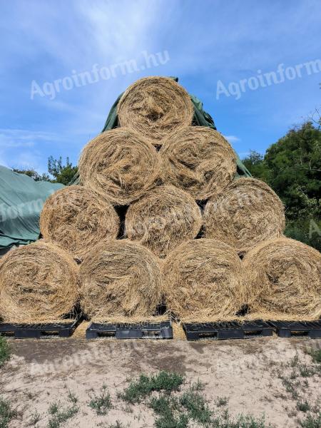 Round baled hay and lucerne for sale