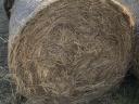 Hay for sale