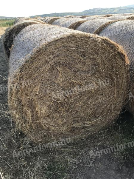 Hay for sale