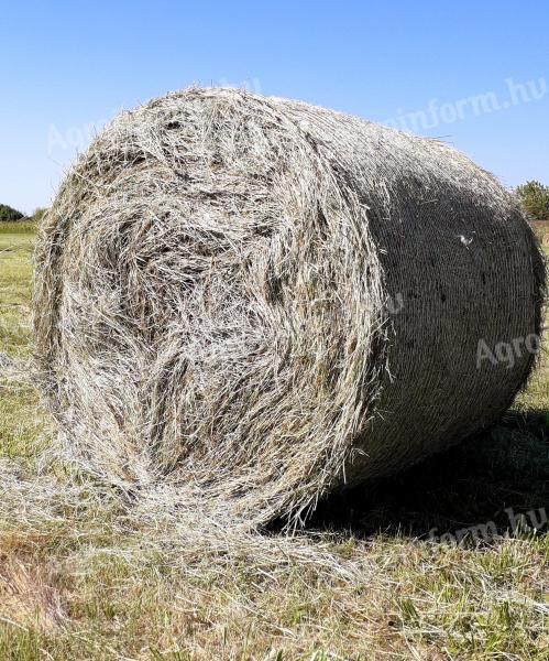 Wiesenheuballen zu verkaufen