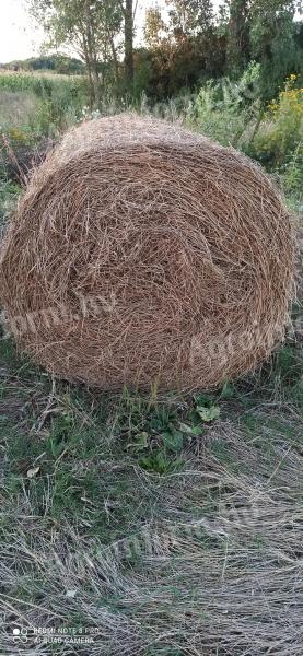 Rye hay and alfalfa