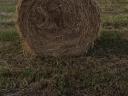 Rye hay and alfalfa