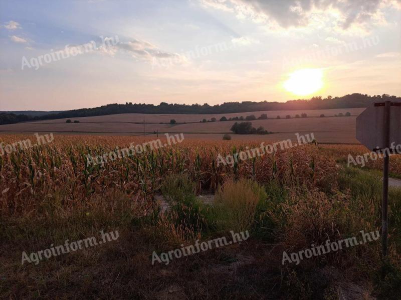 For sale 1,158 ha of good quality arable land in Zselicszentpál