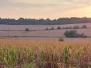 Zum Verkauf in Zselicszentpál, 1.158 ha hochwertiges Ackerland