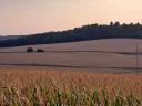 Zum Verkauf in Zselicszentpál, 1.158 ha hochwertiges Ackerland