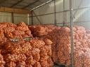 Producer onions for sale