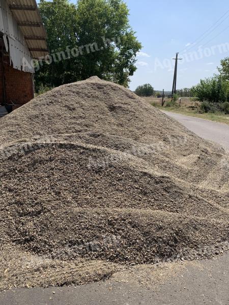 Sunflowers for sale