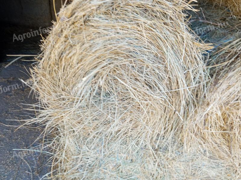 Grass hay for sale