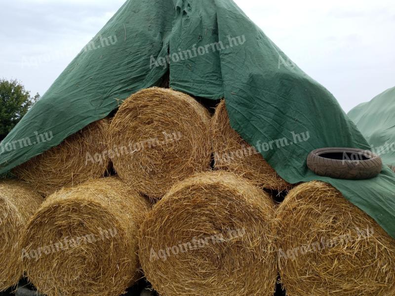 Barley straw for sale