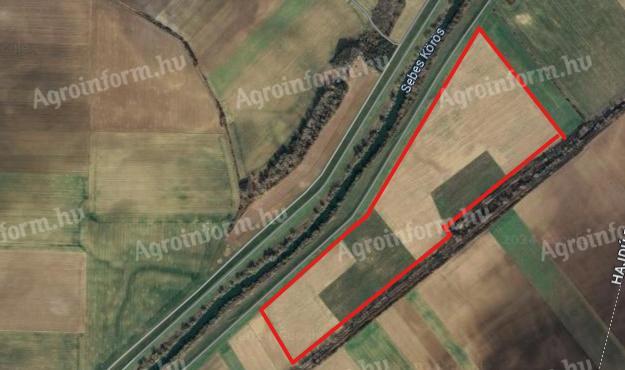 Arable land for sale