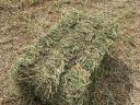 Small alfalfa bale for sale