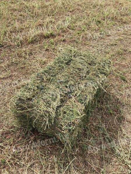 Small alfalfa bale for sale