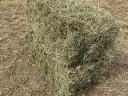 Small alfalfa bale for sale