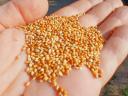 Millet for sale