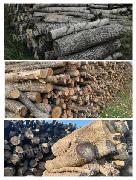 Dry firewood for sale