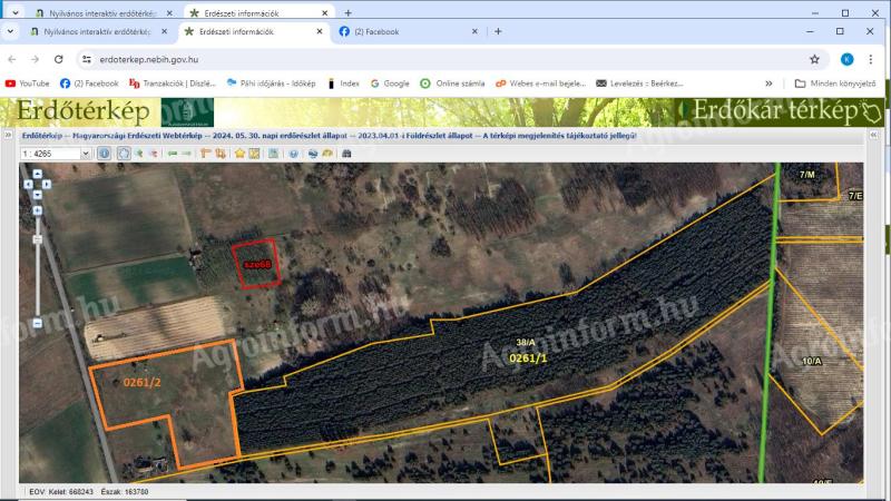 Kiefernwald mit Weide zu verkaufen